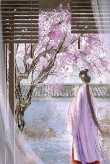 Từng Là Bóng Dáng Kinh Hồng Thoáng Qua