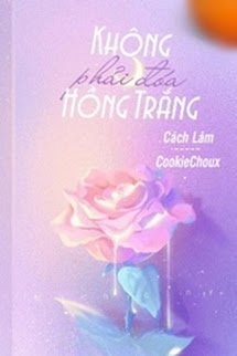 Không Phải Đóa Hồng Trắng