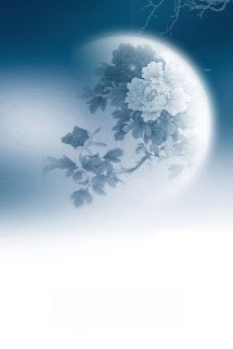 Hàng Ngày Nuông Chiều Ánh Trăng Sáng