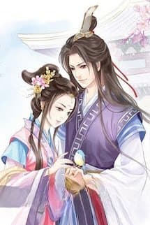Sư Huynh, Xin Hãy Đứng Yên