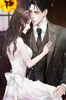 Xuyên Vào Nữ Chính Ngu Ngốc