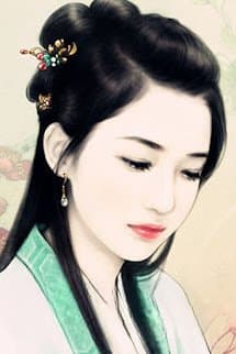 Kim Bình Mai Hoa Kỷ Nguyệt Khai