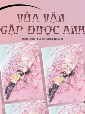 Vừa Vặn Gặp Được Anh - Xí Lục