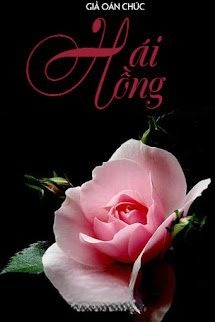 Hái Hồng
