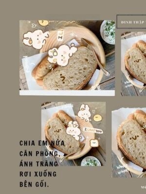 Chia Em Nửa Căn Phòng, Ánh Trăng Rơi Xuống Bên Gối