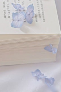Người Phán Xử