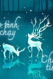 Theo Tình Tình Chạy, Chạy Tình Tình Theo