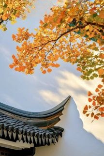 Trì Ngư Nhớ Cố Uyên - Thu Đao Ngư Ngư