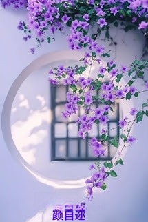 Bảy Năm Anh Đợi Em - Nhan Tự Nhĩ