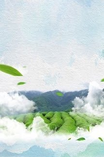 Bí Mật Đồi Trà