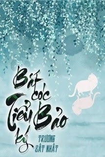 Bắt Cóc Tiểu Bảo ký