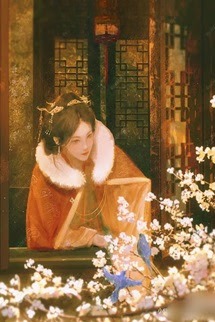Tuế Tuế An