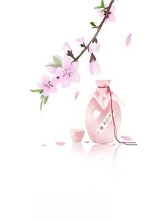 Nữ Phụ Gả Thay Bị Sủng Hằng Ngày